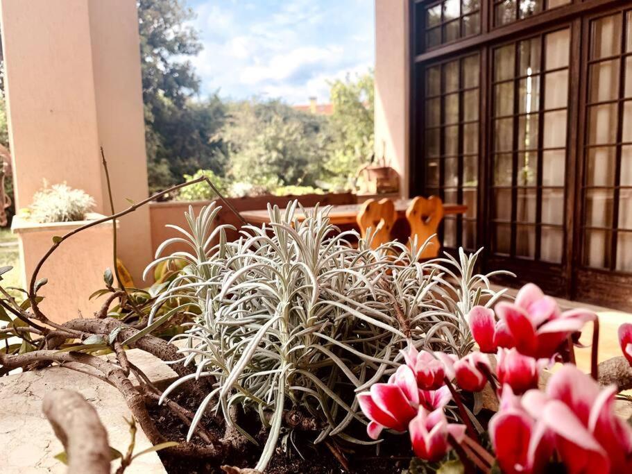 Raffinatezza Rustica Nella Campagna Veneziana Appartement Canton  Buitenkant foto