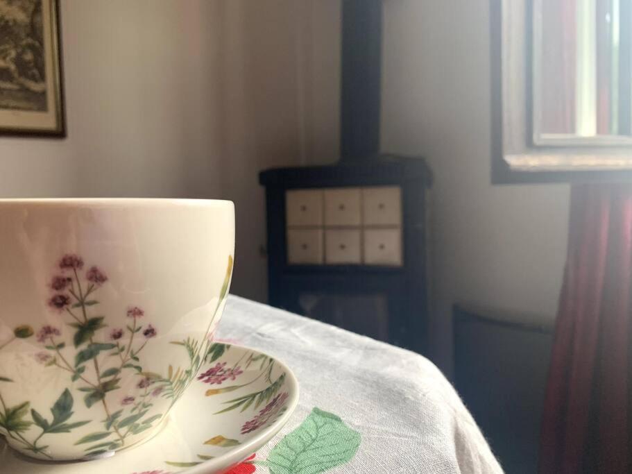 Raffinatezza Rustica Nella Campagna Veneziana Appartement Canton  Buitenkant foto