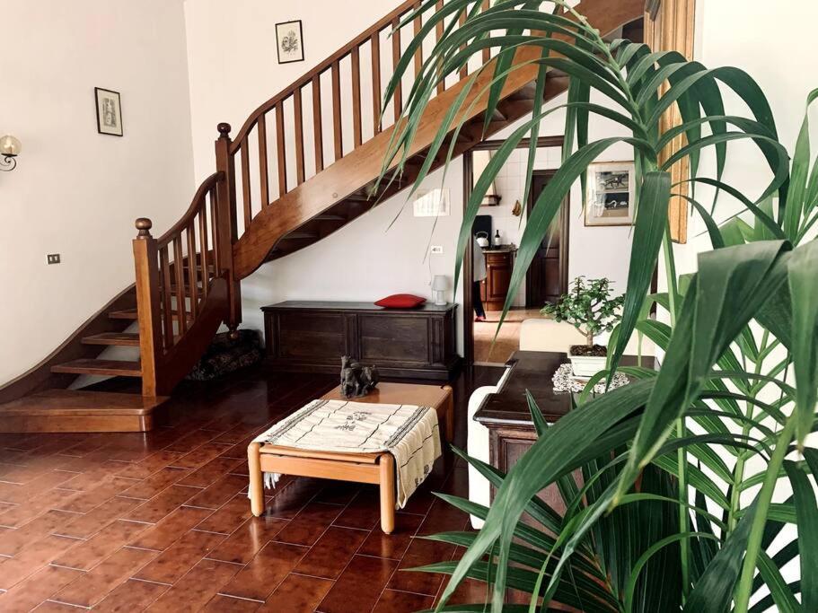 Raffinatezza Rustica Nella Campagna Veneziana Appartement Canton  Buitenkant foto